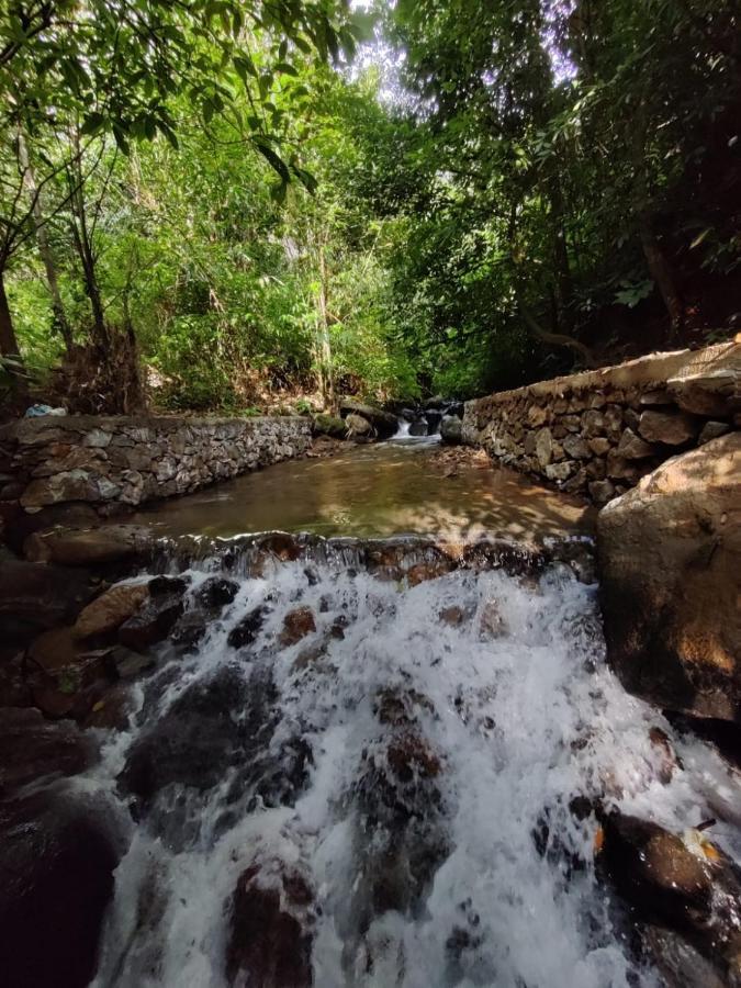Forest And River Edge Resort Kannur Esterno foto