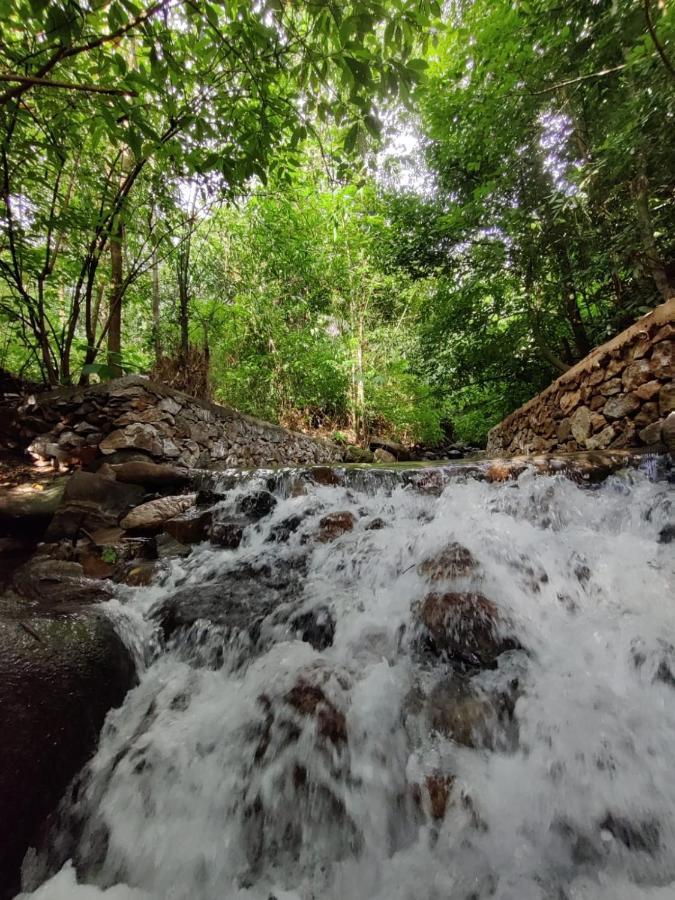 Forest And River Edge Resort Kannur Esterno foto