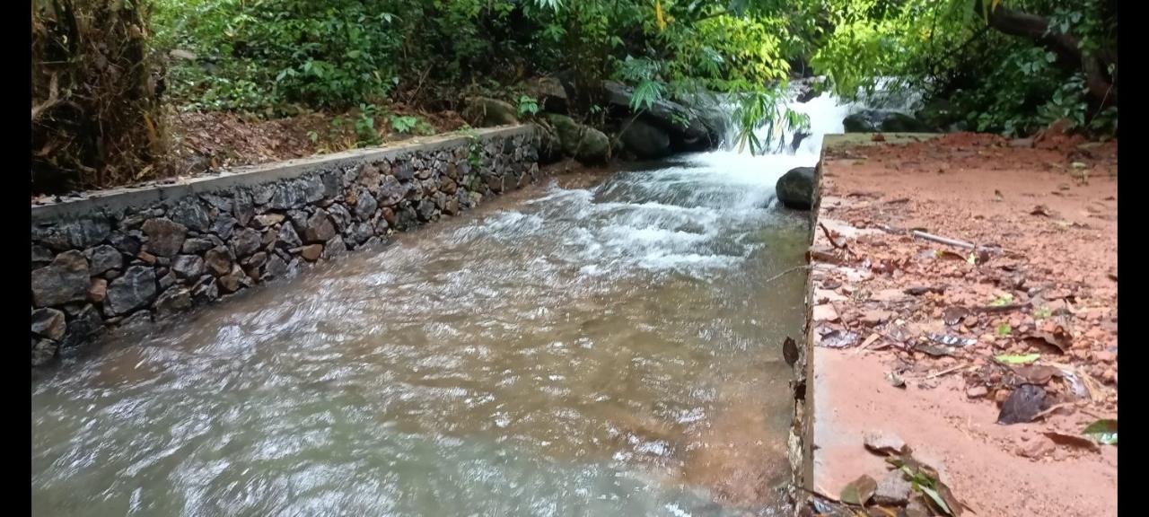 Forest And River Edge Resort Kannur Esterno foto